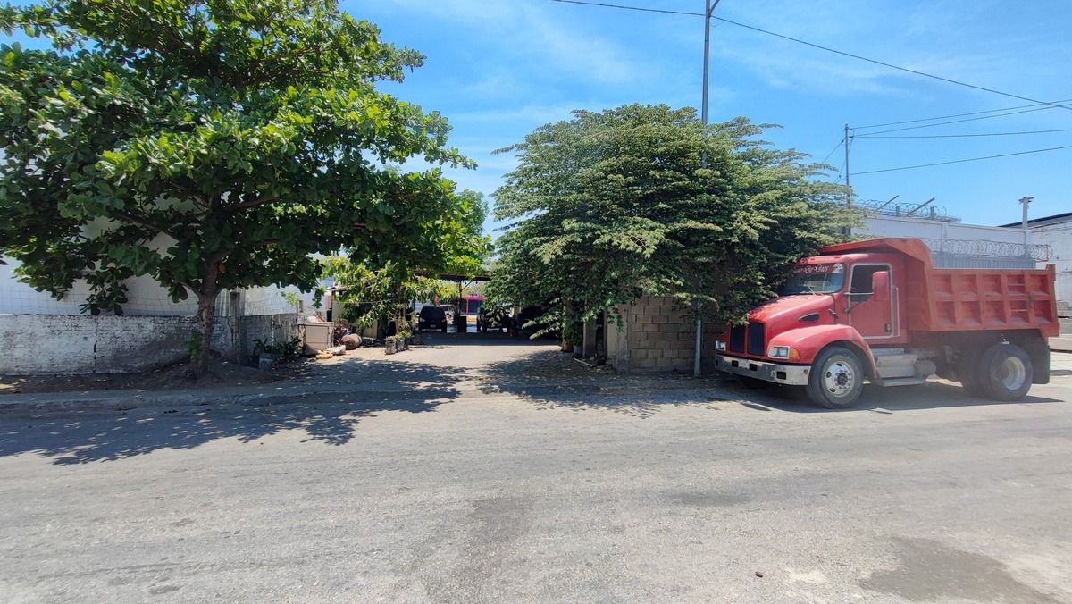 4 de 4