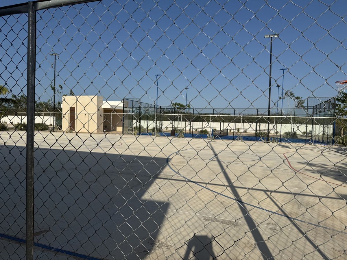 11 de 26