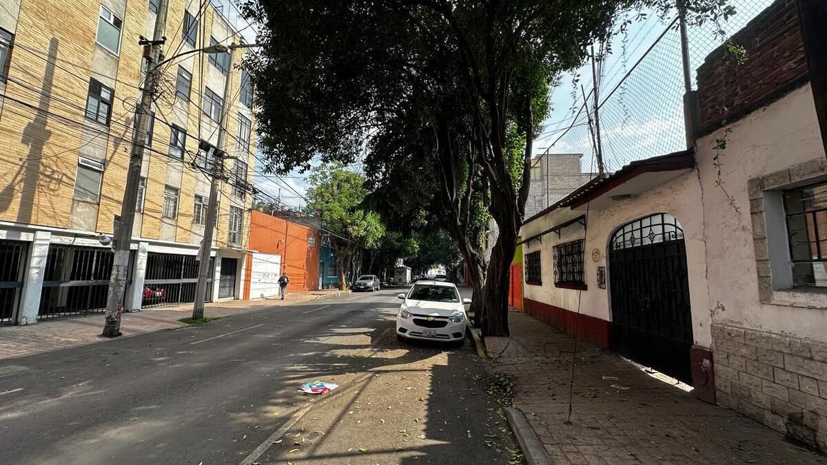 5 de 14
