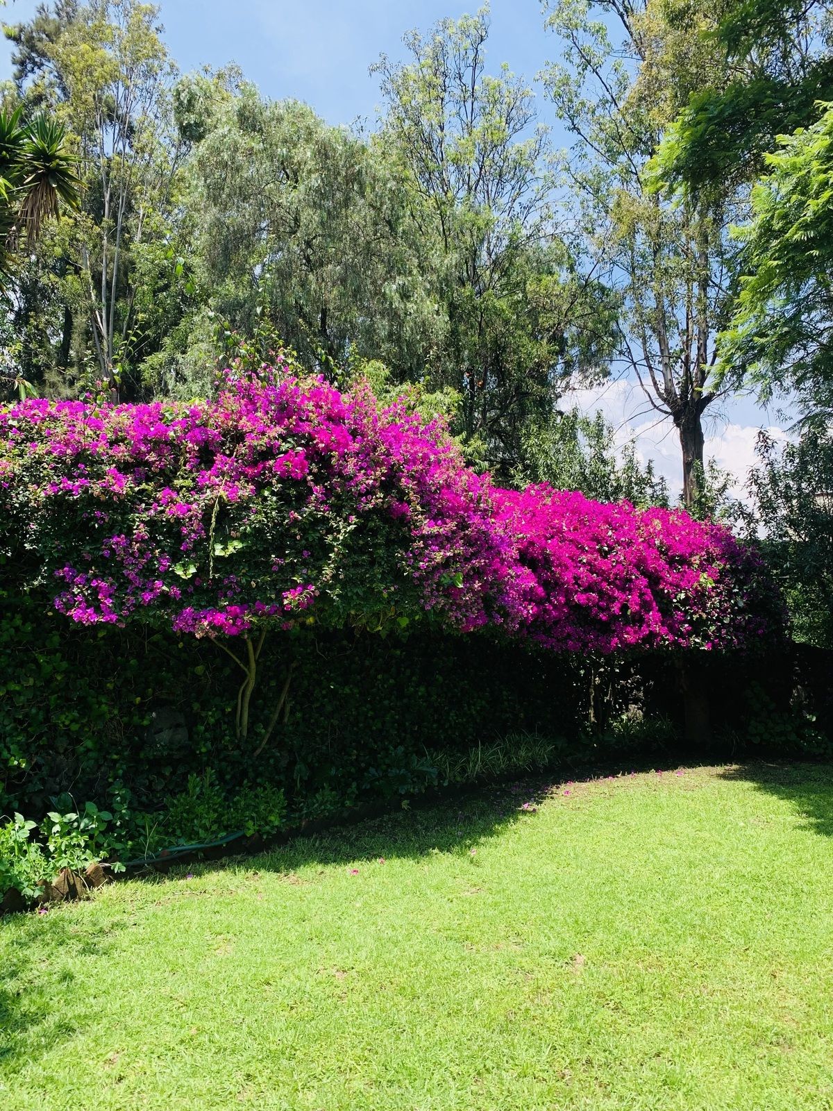 1 de 34