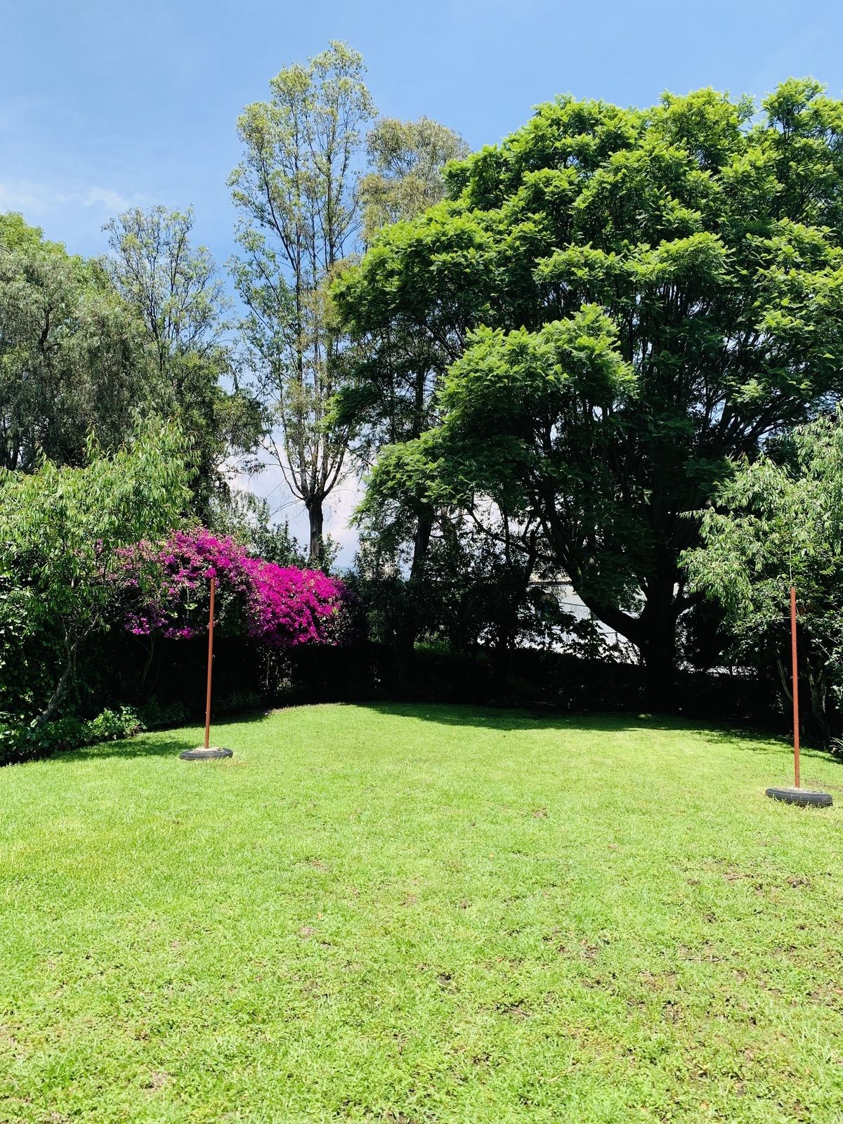 4 de 34