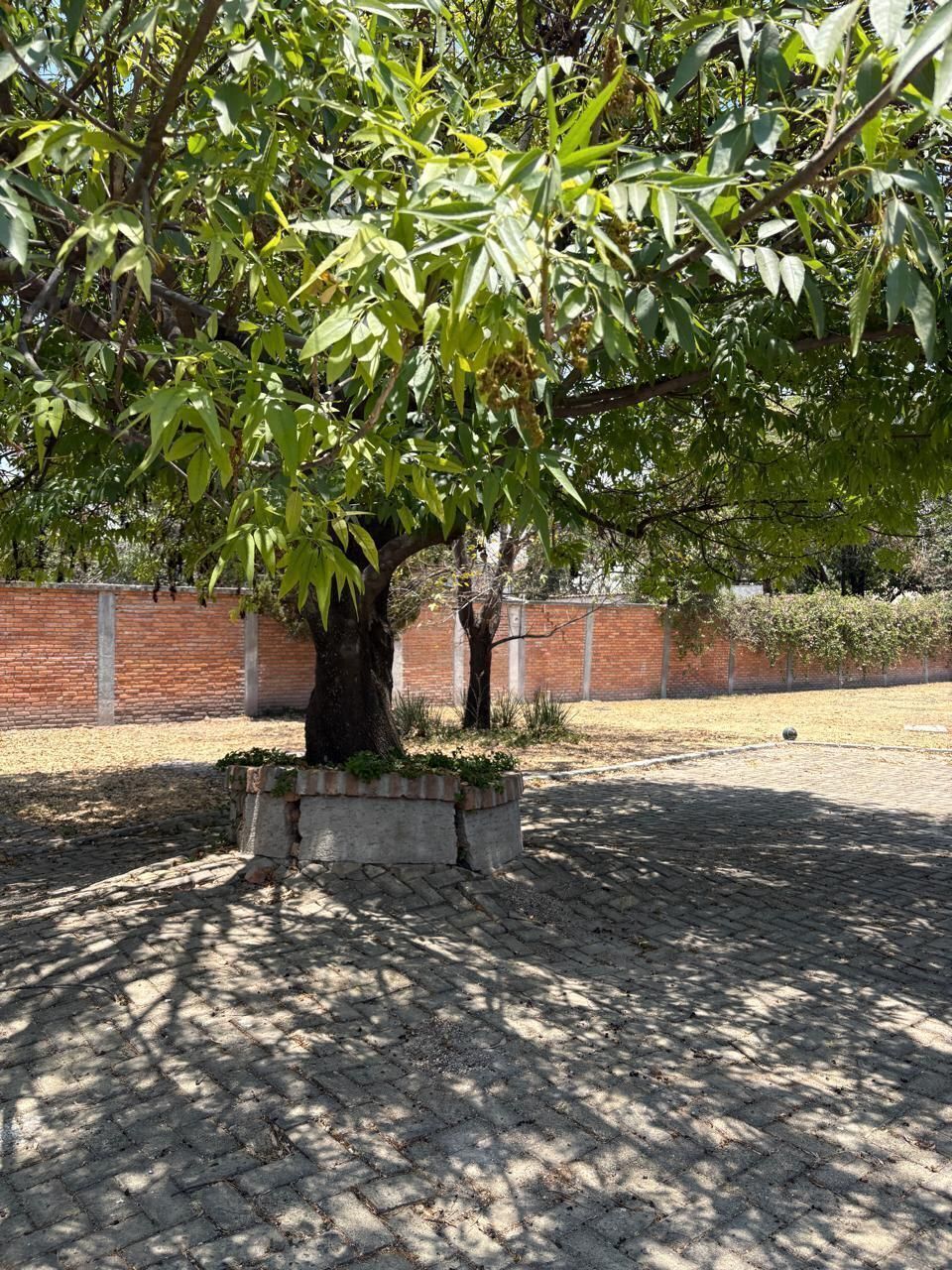 4 de 24