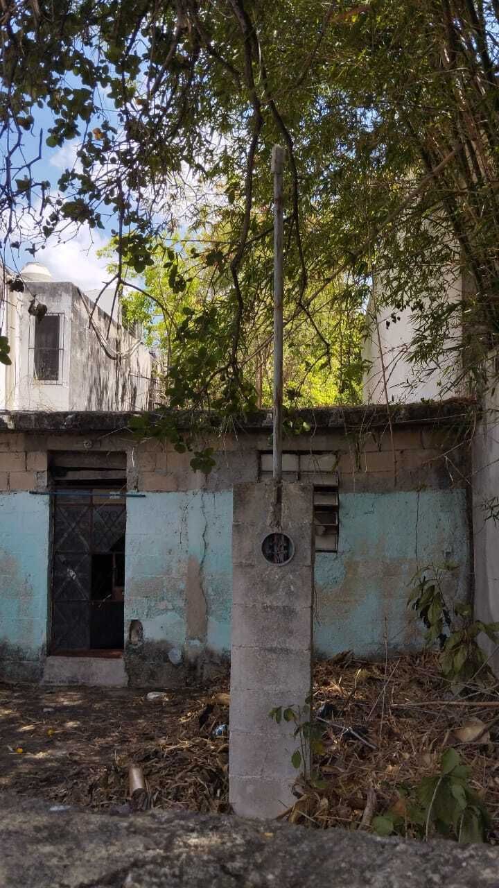 1 de 6