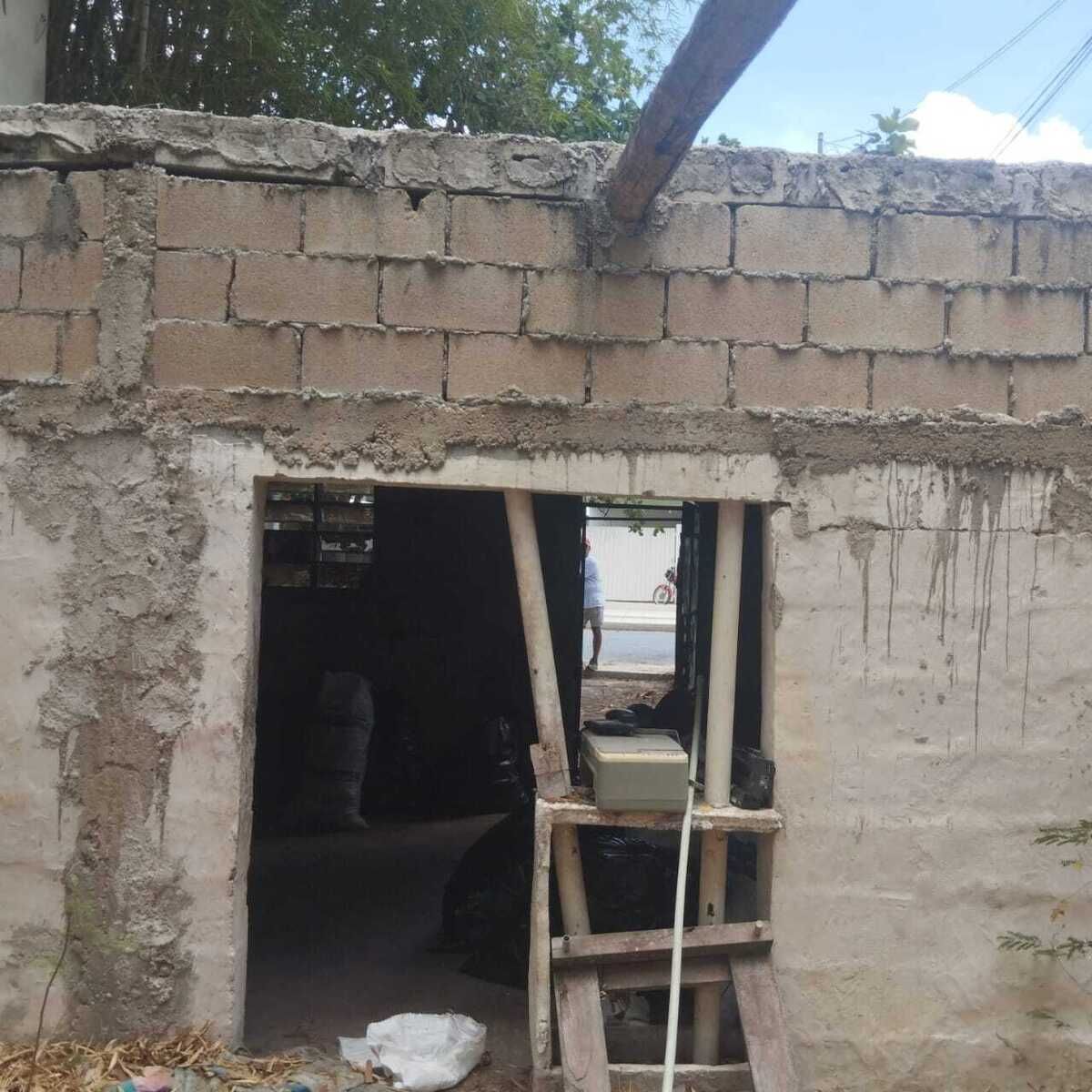3 de 6