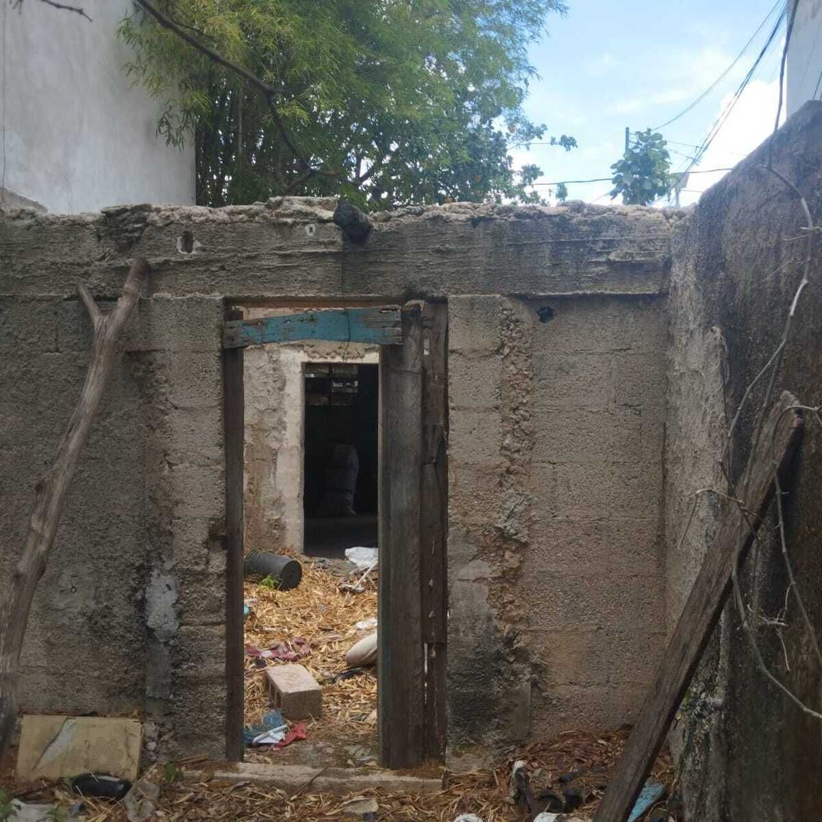 4 de 6
