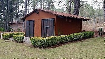8 de 30