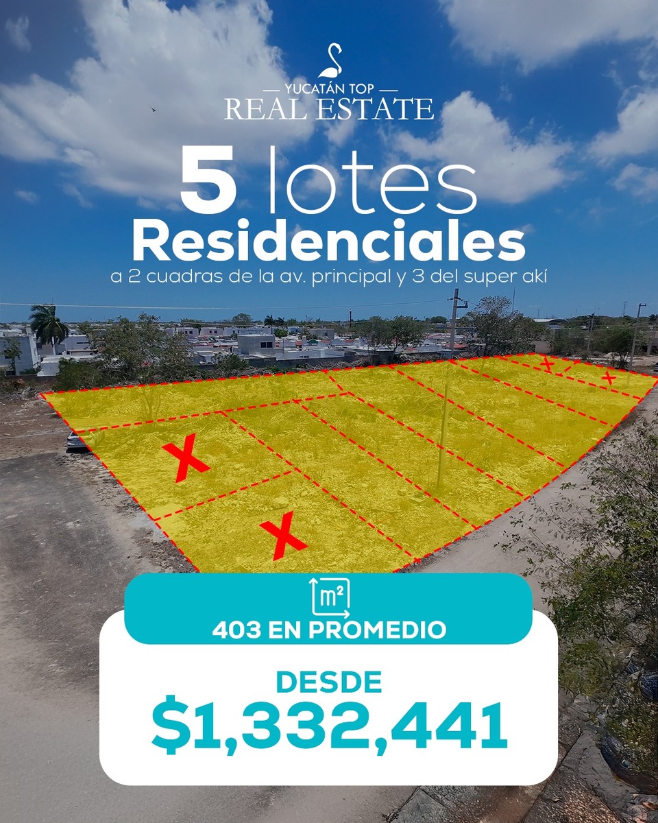 3 de 3