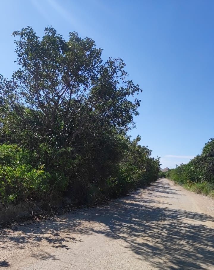 1 de 3