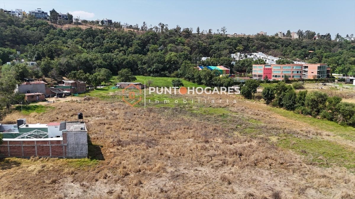 Imagen 3 de 5