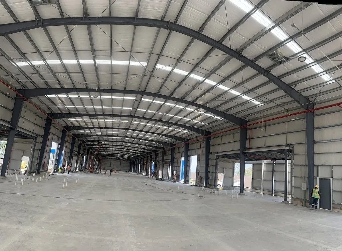 9 of 12: VISTA NAVE INDUSTRIAL