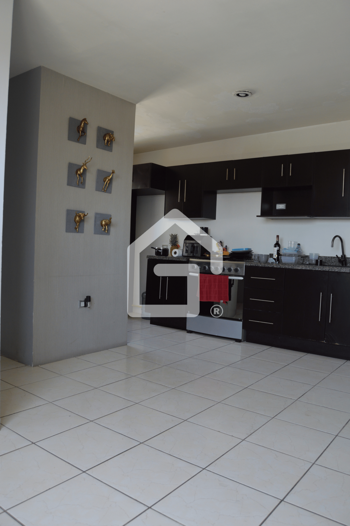 5 de 12: Espacio comedor
