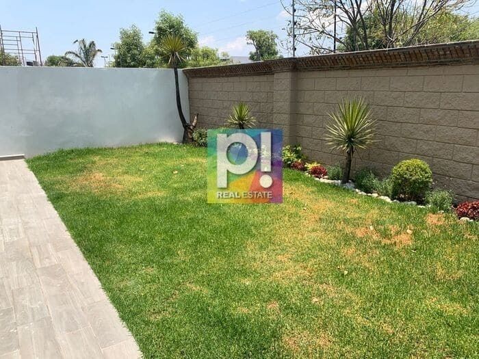 5 de 19