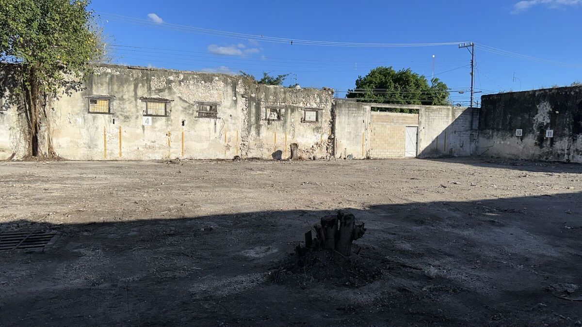8 de 12: Terreno