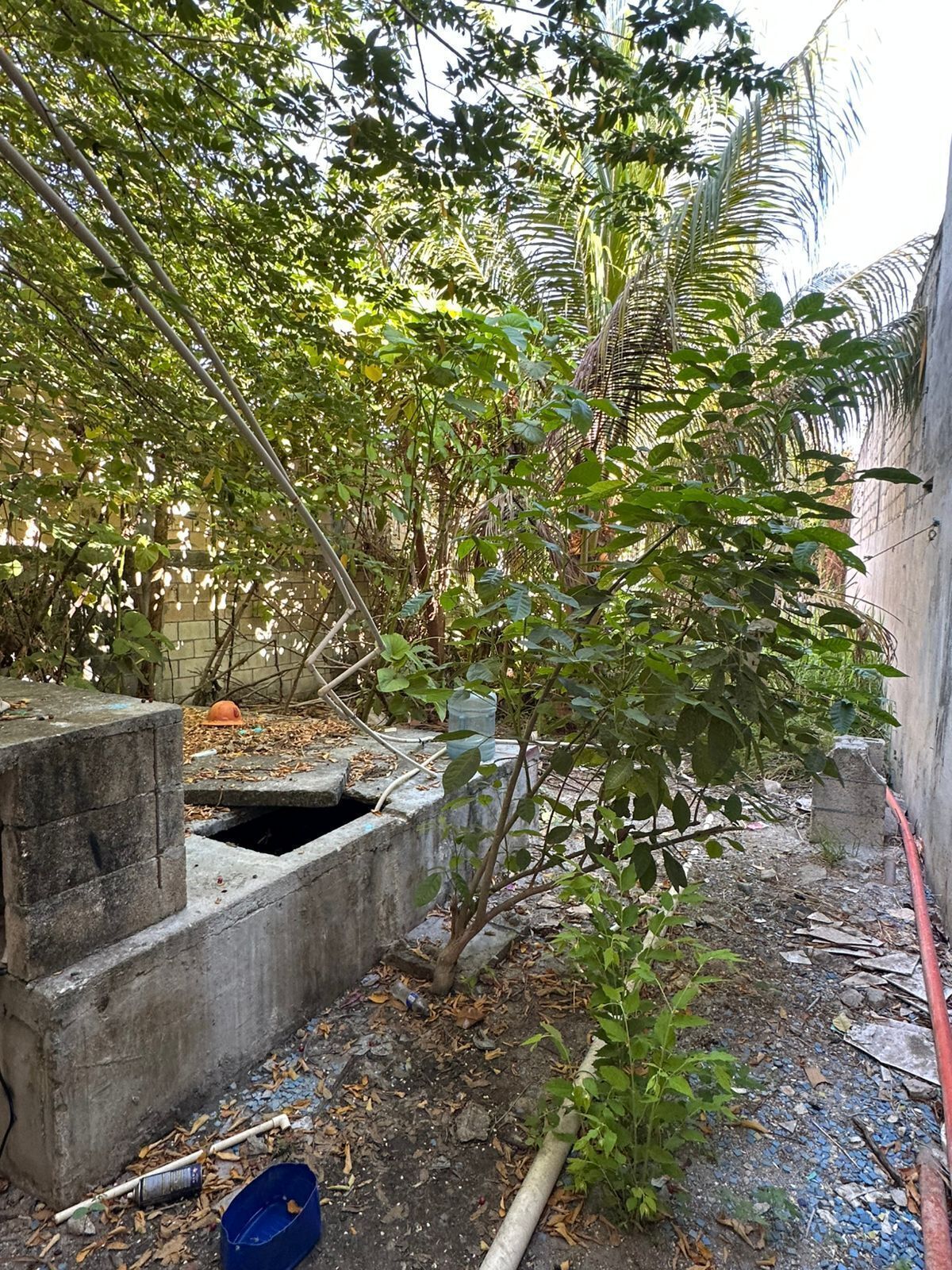 4 de 4