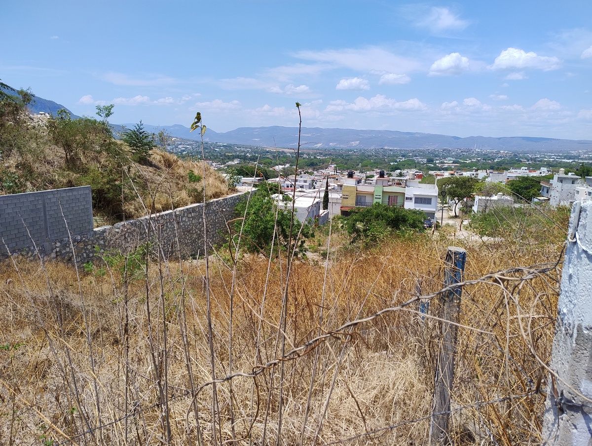 5 de 14
