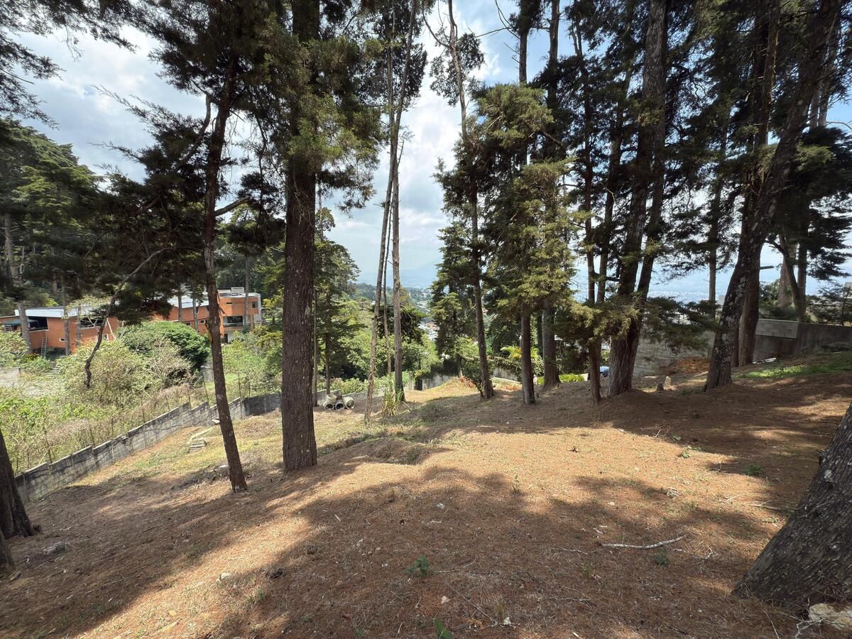 2 de 9: Vista