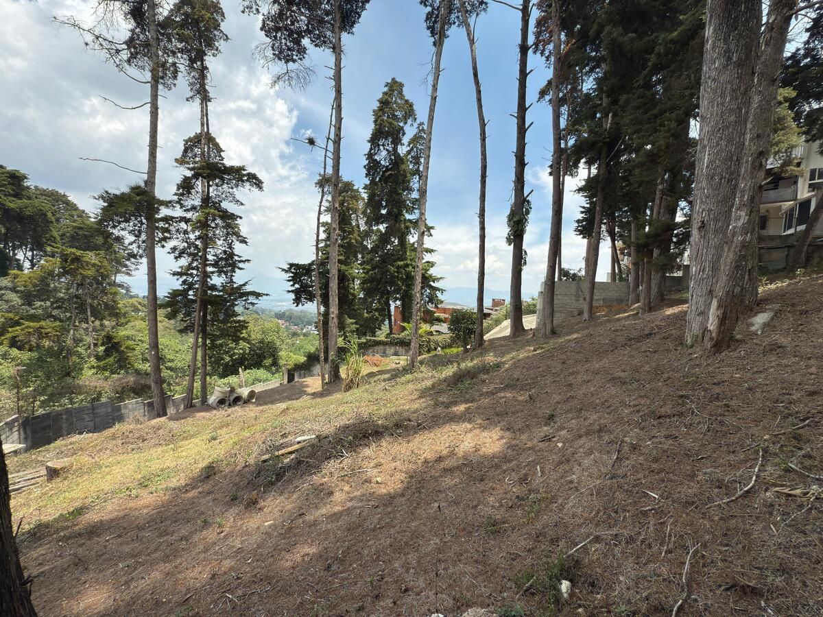 3 de 9: Vista
