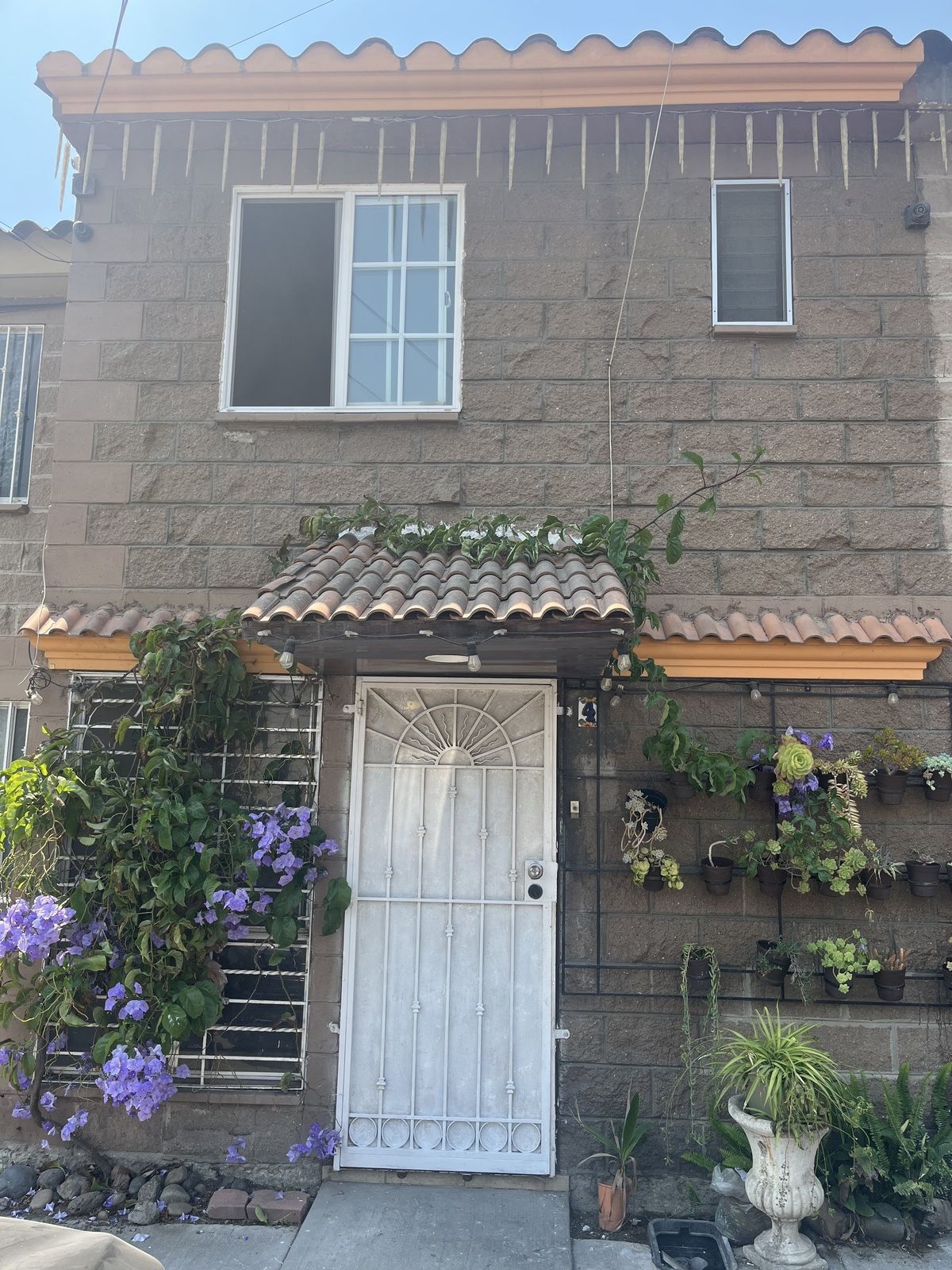 16 de 16