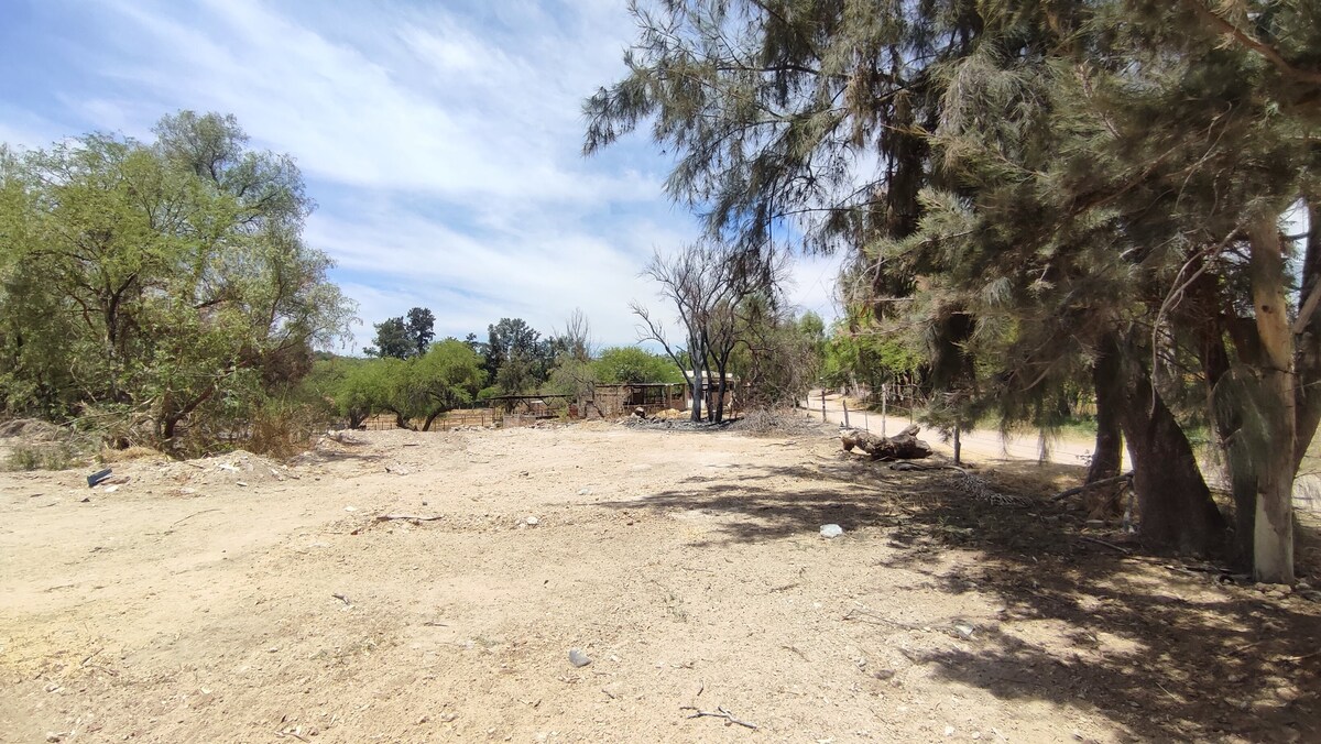 12 of 16: Parte de enfrente