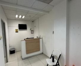 5 de 8