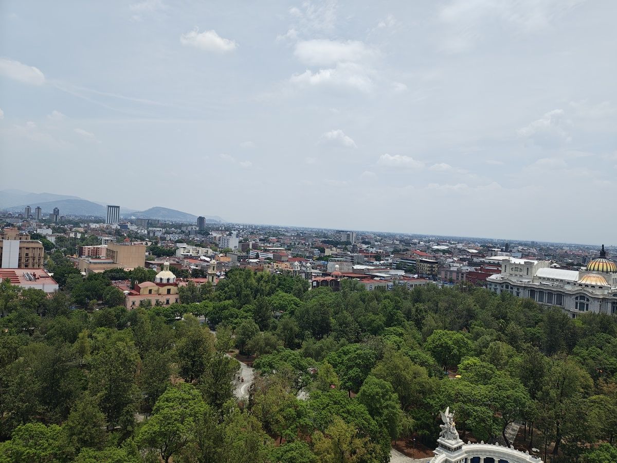 4 de 12