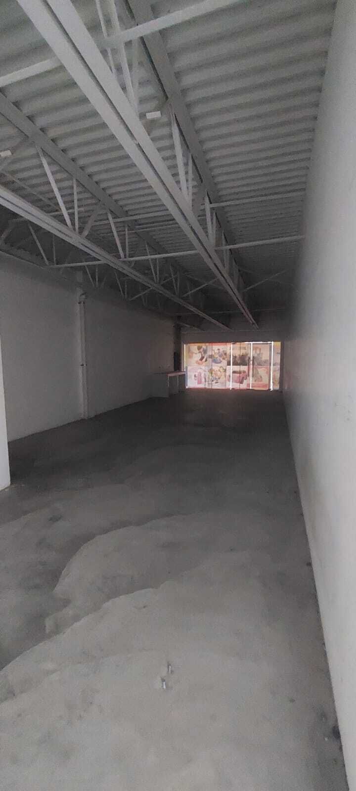 19 of 24
