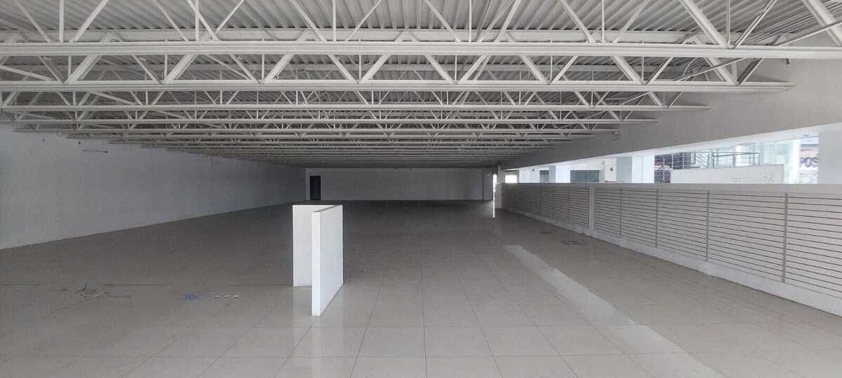 5 of 24