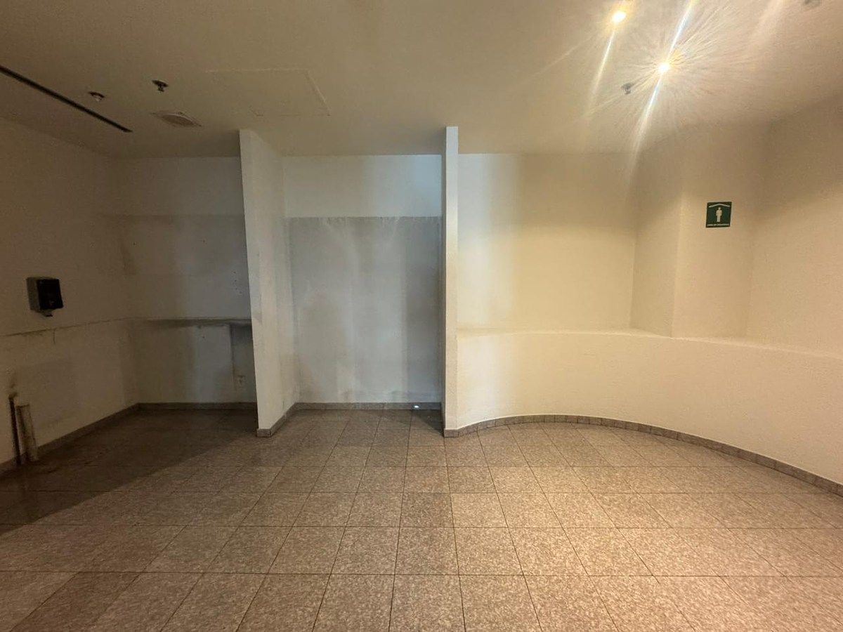 Imagen 6 de 10