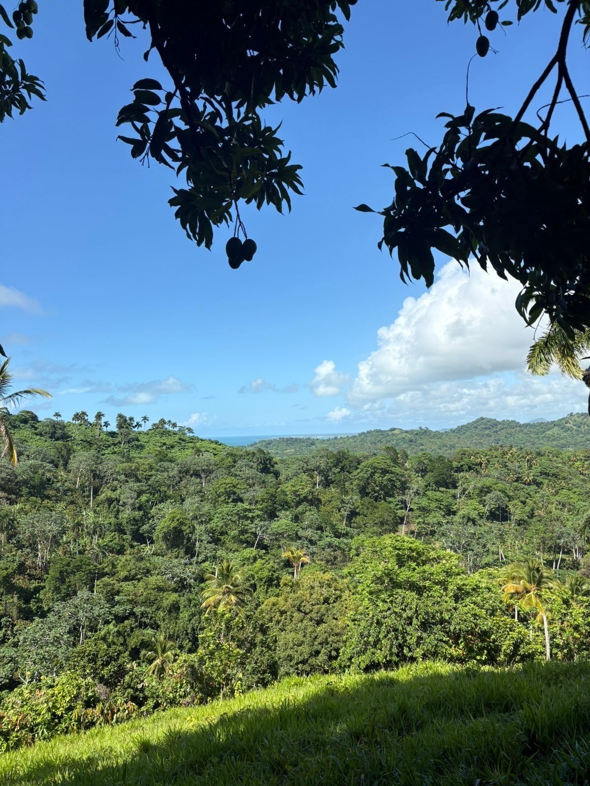 3 de 5