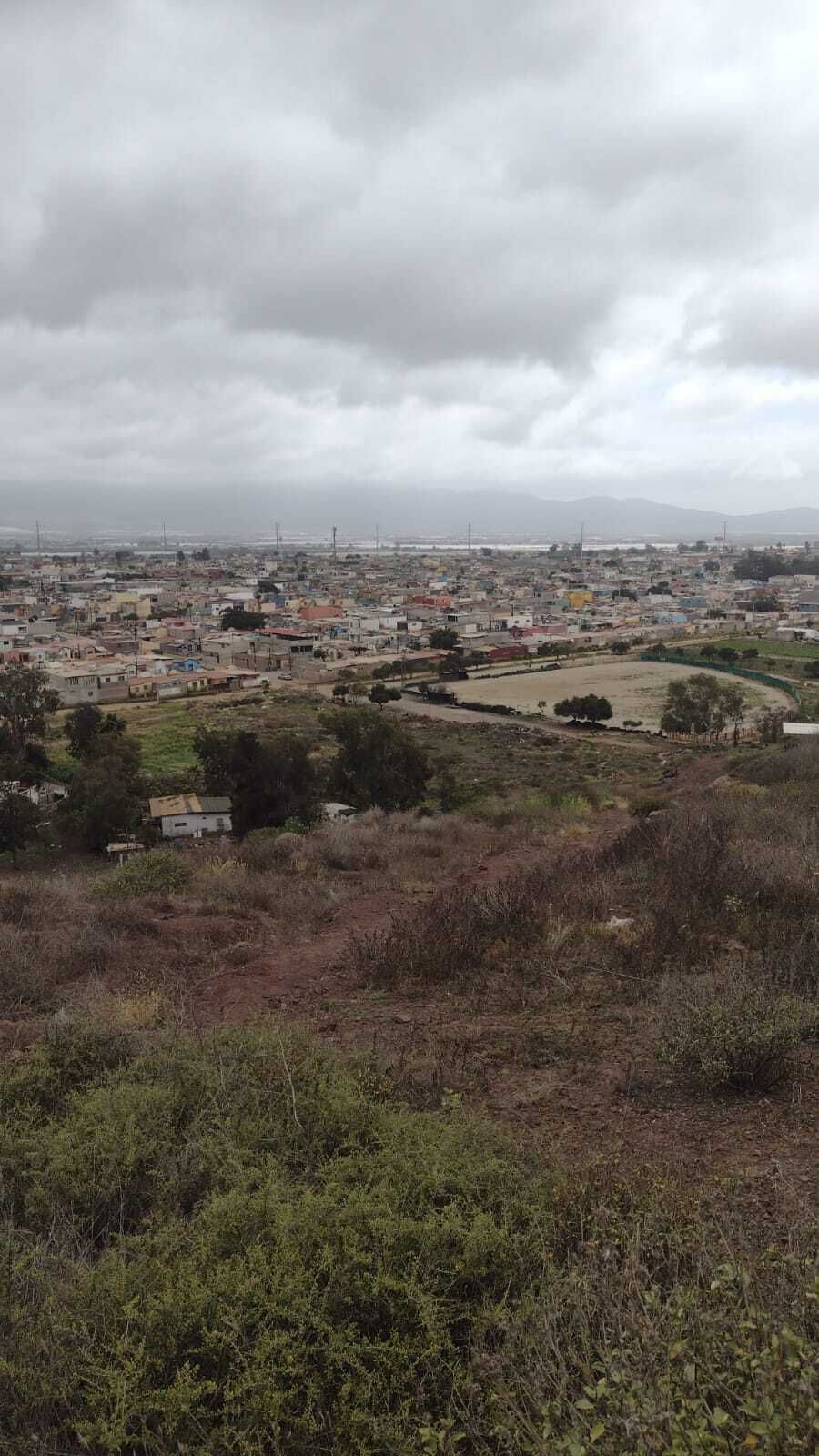 2 de 3