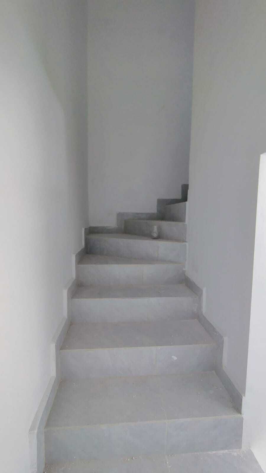 Imagen 6 de 10