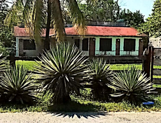 1 de 1