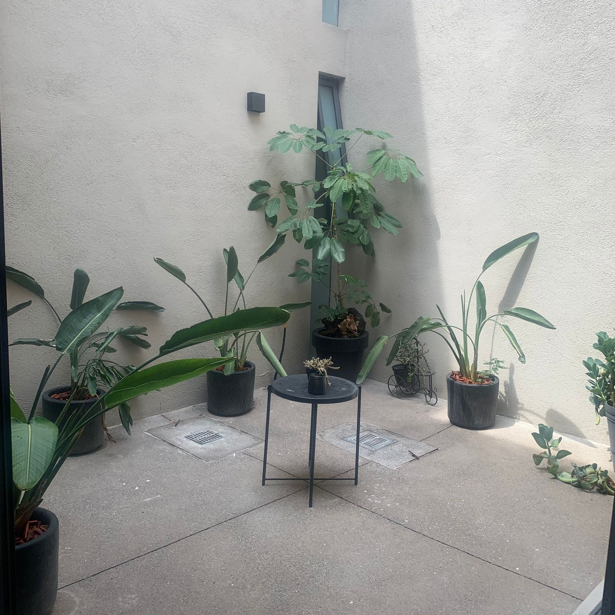 8 of 16: Terraza pequeña