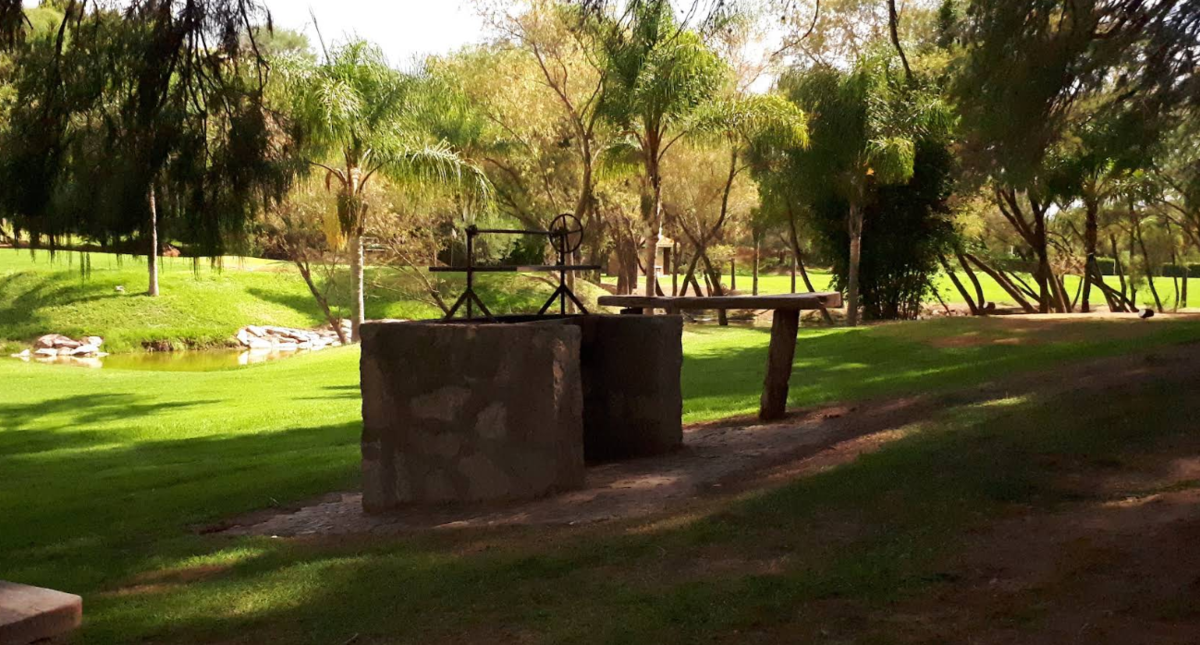 Imagen 3 de 7