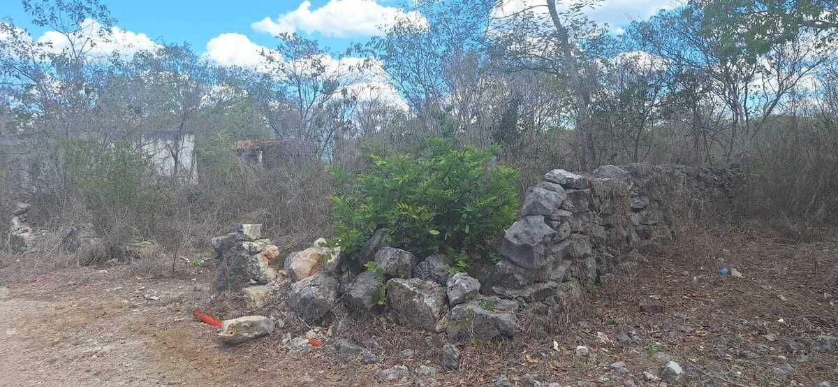 5 de 6