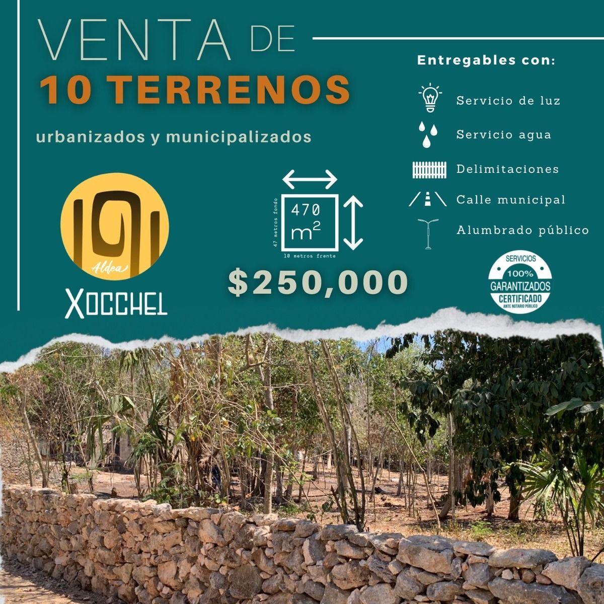 16 de 16