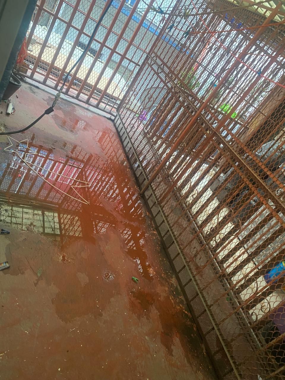 6 de 21