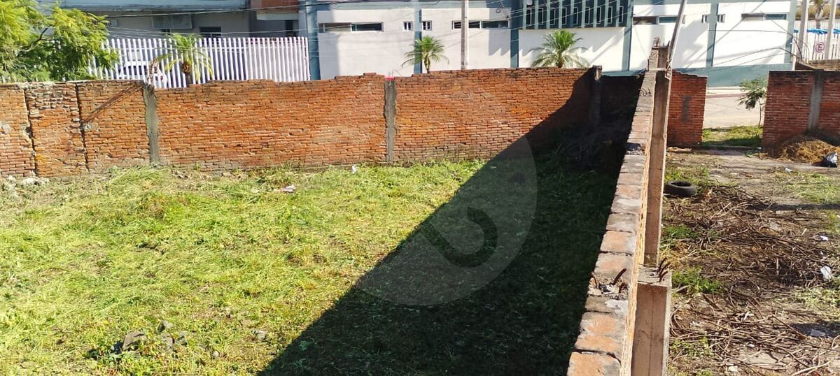 8 de 8