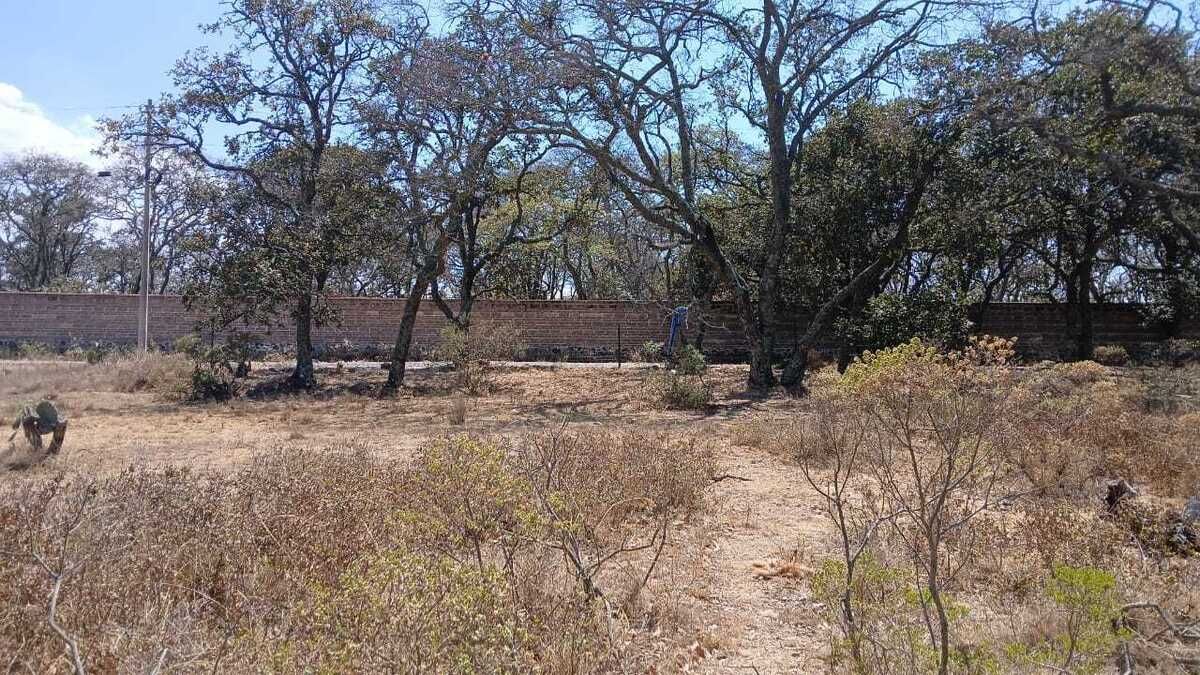 3 de 25: Enfrente de la propiedad se encuentra esta barda de sillar