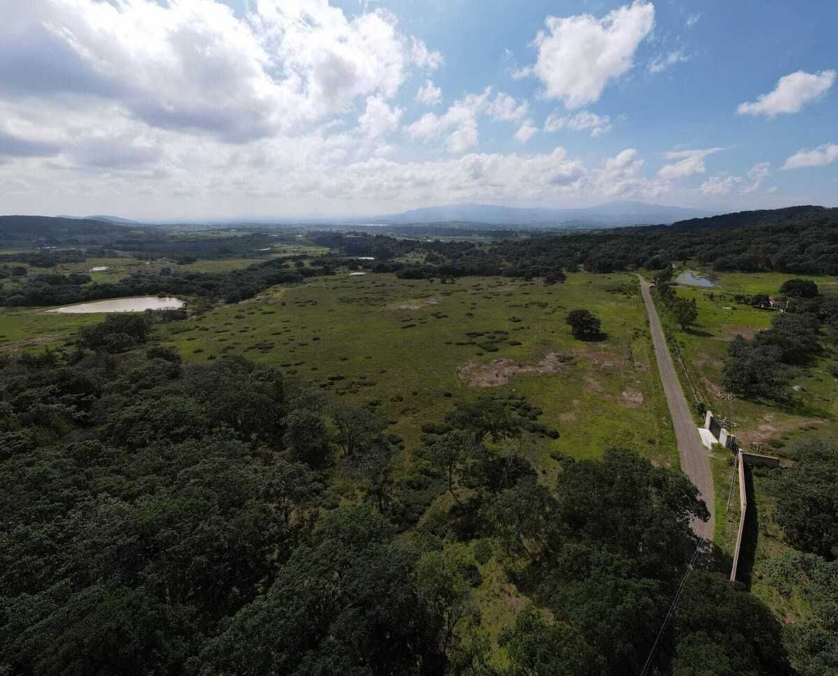 1 de 25: Vista áerea de la propiedad con arboles