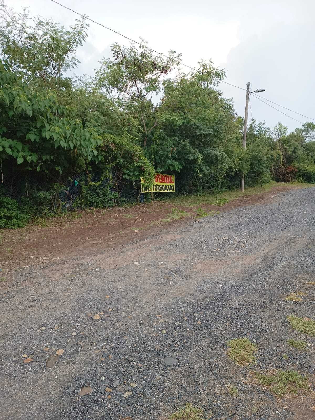 1 de 10