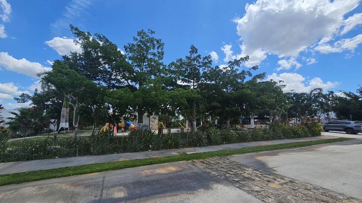 5 de 11