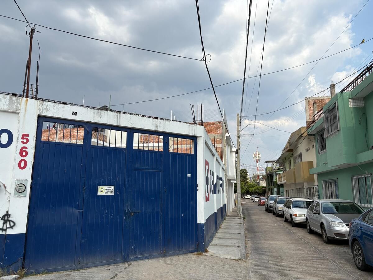 5 de 6