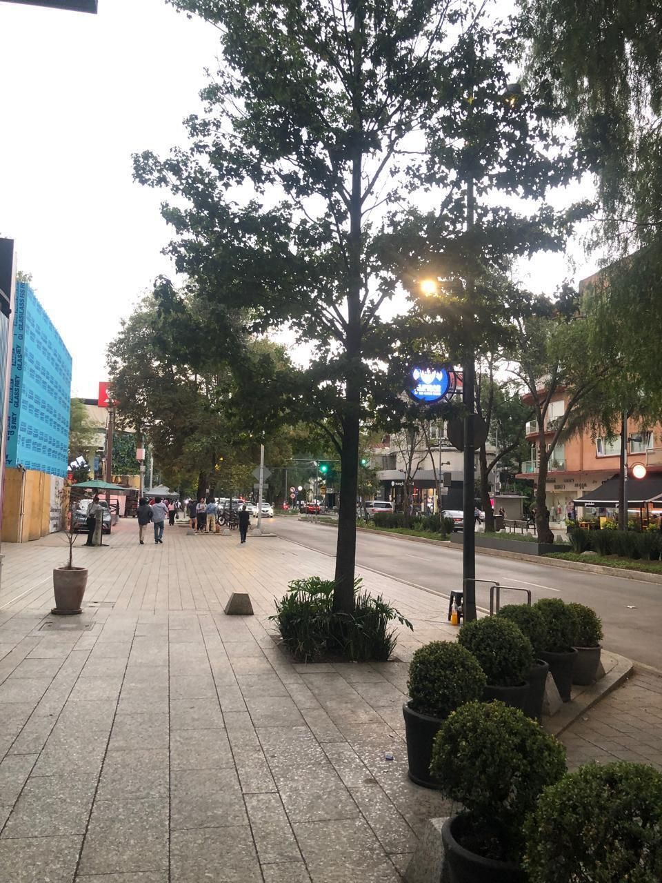 4 de 13