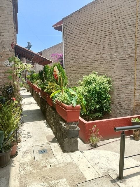3 de 26