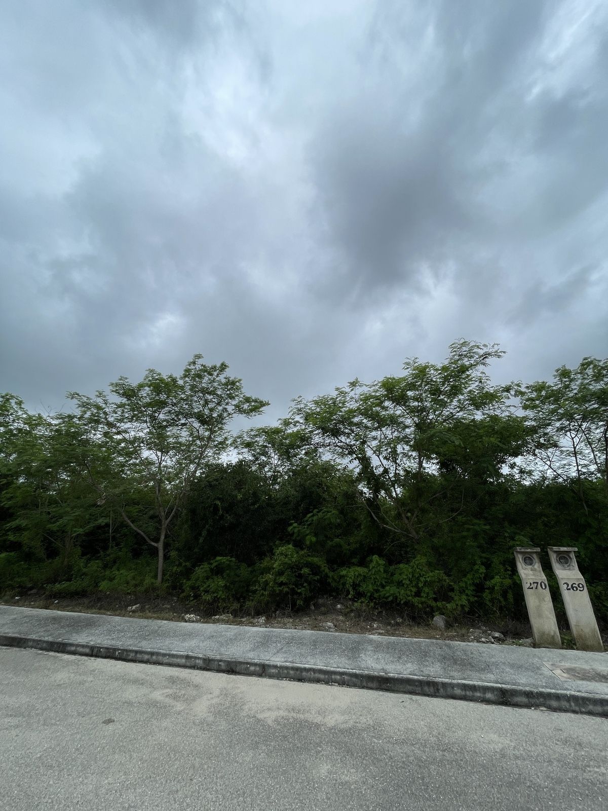 3 de 6