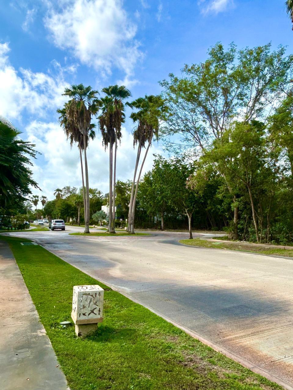 2 de 7