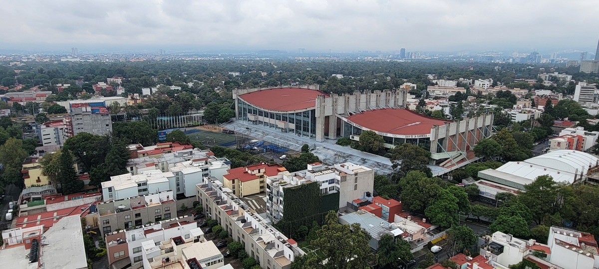 11 de 29
