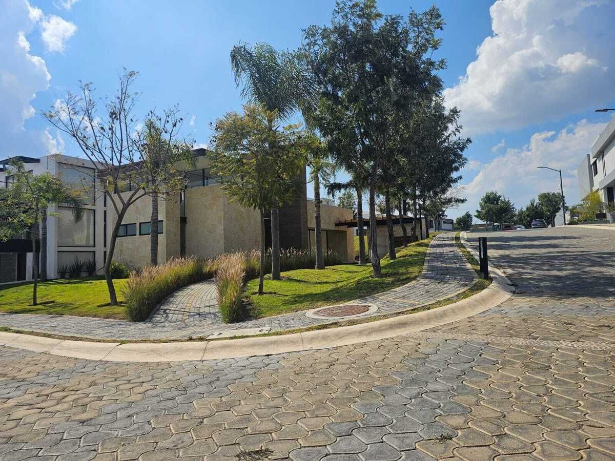 1 de 6