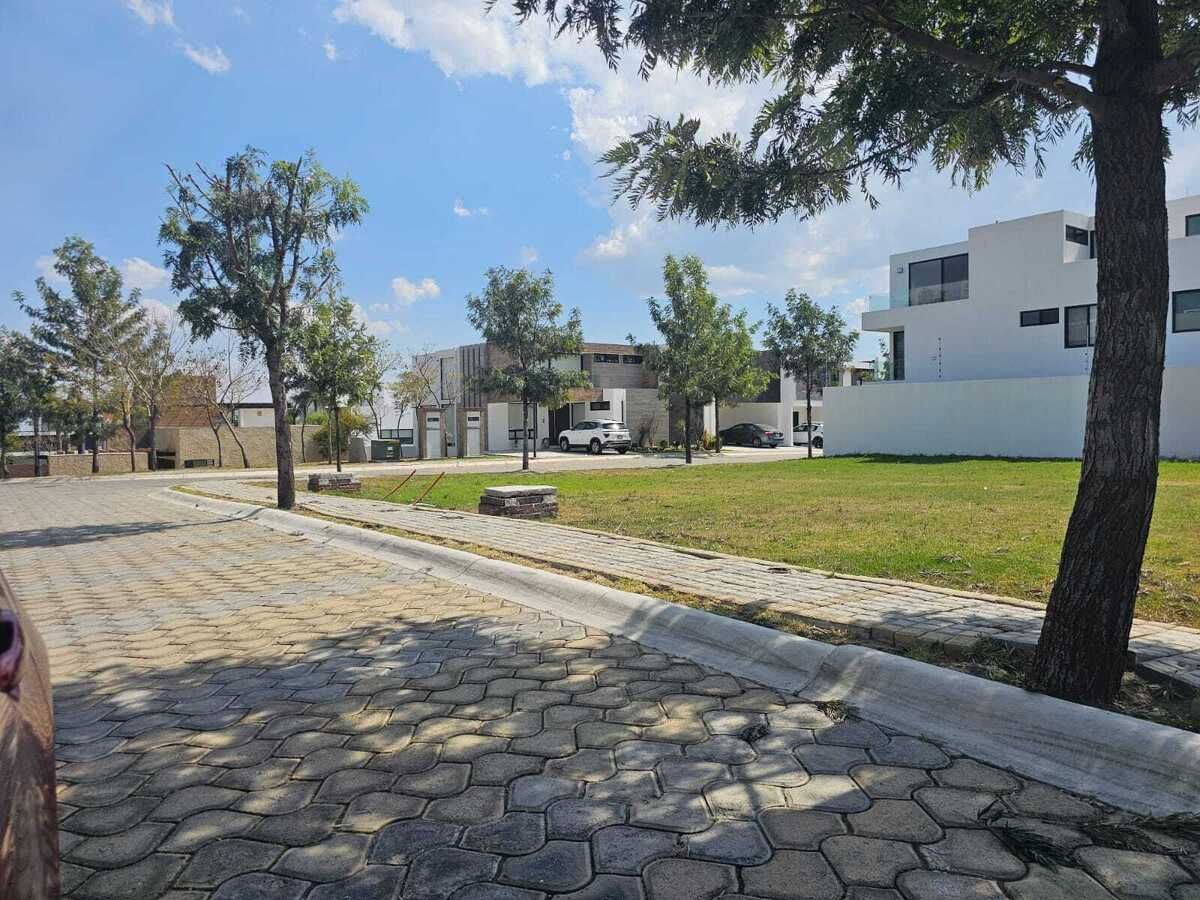 5 de 6